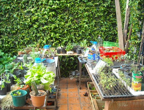 flor de huerta septimbre_octubre_217