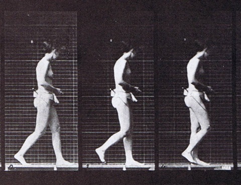 841107_10151864366876873_763759193_o