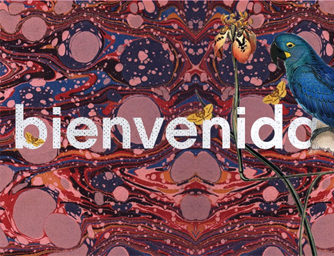 bienvenida primavera